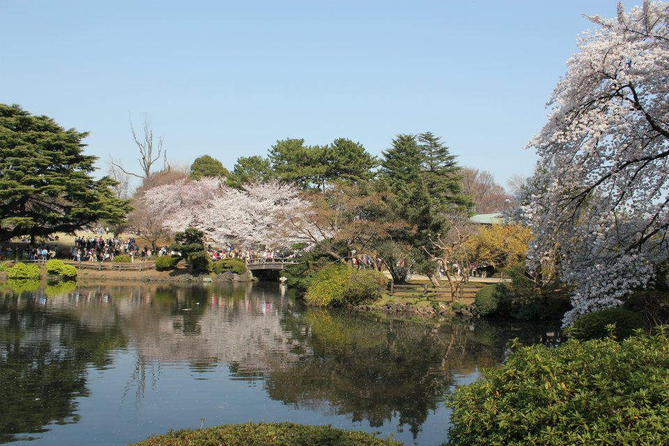 Shinjuku Gyoen National Garden