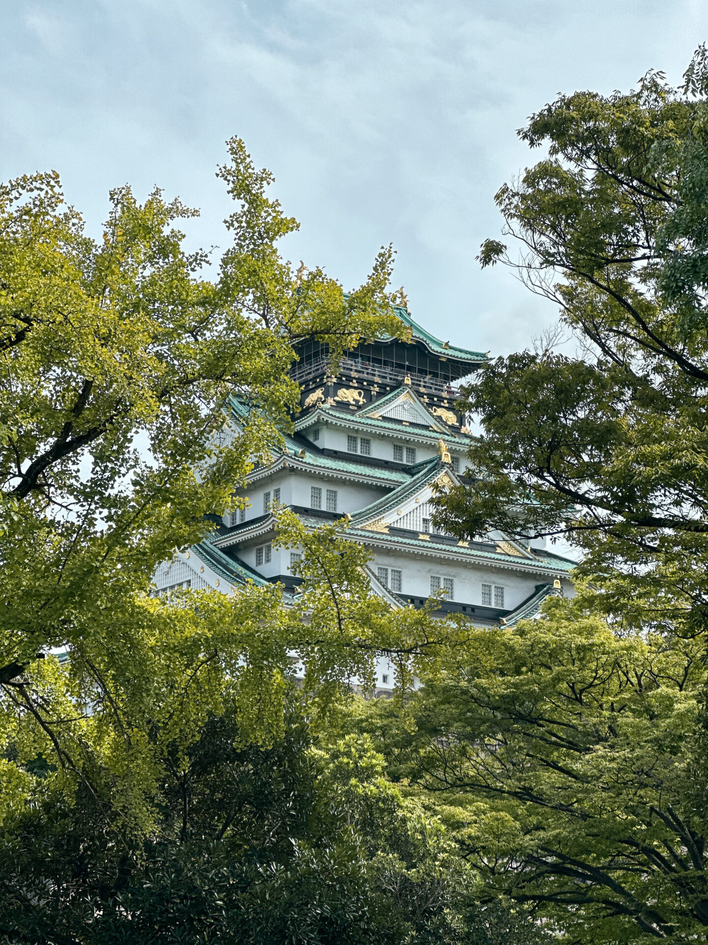 Best views of Osaka Castle