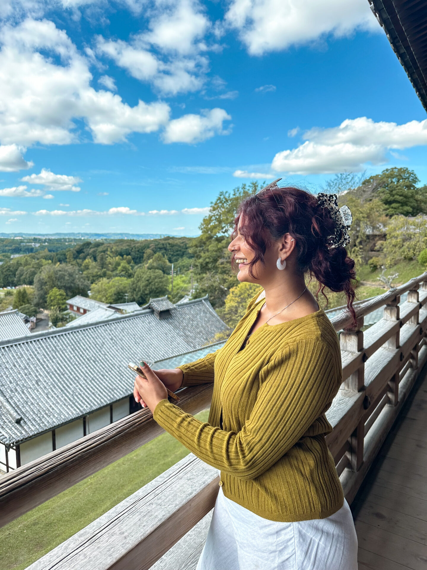 View of Nara Park from Nigatsu-do